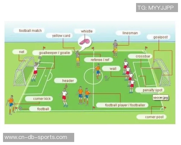 足球各位置英文缩写详解及其在比赛中的重要性分析